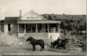 Vtg Office Cave of the Winds Horse Carraige Manitou Springs Colorado CO Postcard
