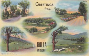 11671 Greetings from Rolla, Missouri