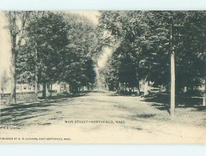 Unused Pre-1907 TREES ALONG MAIN STREET Northfield Massachusetts MA t3317