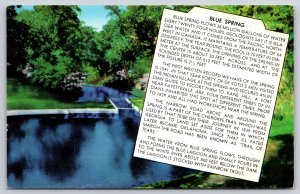 Eureka Springs Arkansas~Blue Spring In Ozark Hills~Inset Facts~Vintage Postcard