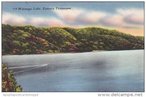 Tennessee Elizabethton Watauga Lake