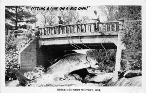 F17/ Whitney Ontario Canada RPPC Postcard c40s Exaggeration Fishing