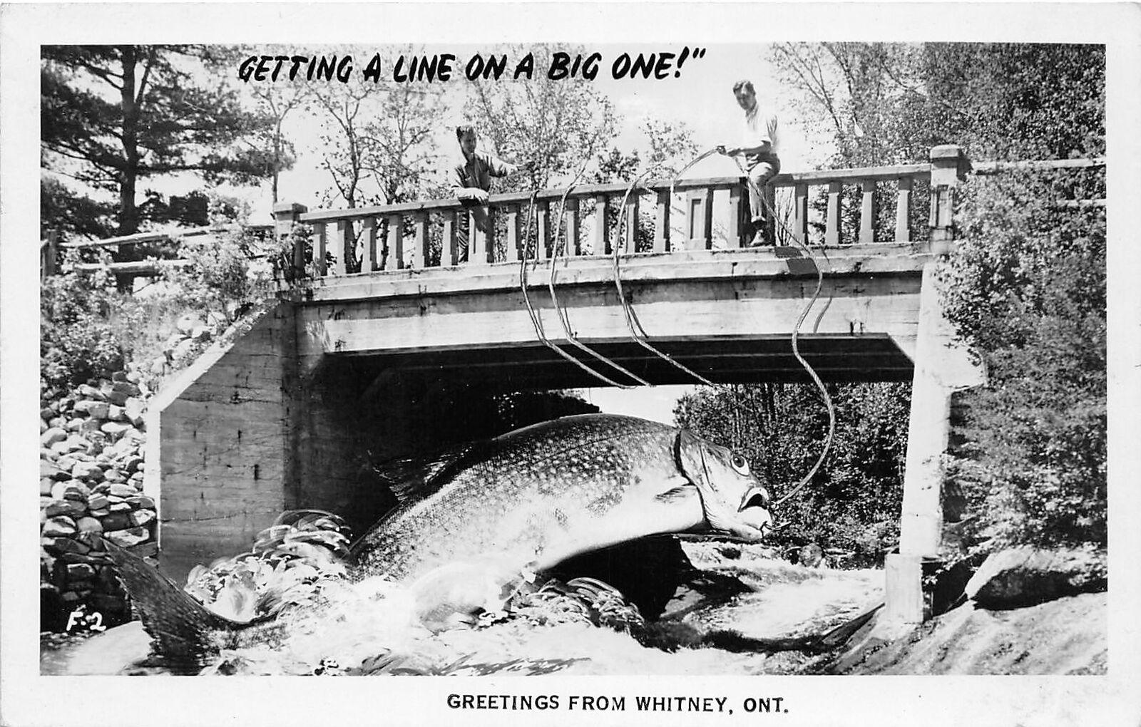 RPPC Kingston Ontario Canada Exaggerated Fishing Real Photo