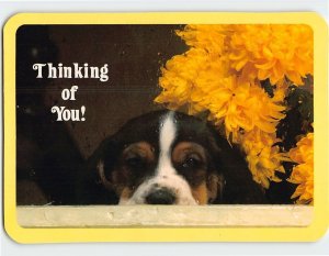 Postcard Thinking of You! with Dog Flowers Picture