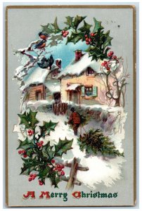 1908 Christmas Holly Berries Bird Winter Snow Embossed Tuck's Antique Postcard
