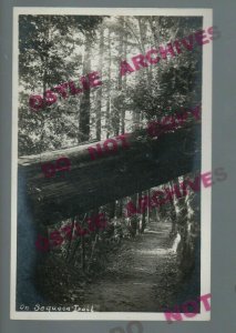 Mt. Hermon CALIFORNIA RPPC c1920 SEQUOIA TRAIL nr Felton Santa Cruz COOPER #10