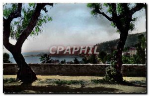 Postcard Moderne Menton Vue Generale