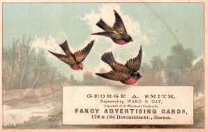 1880s-90s Birds Flying George Smith Fancy Advertising Cards Trade Card Boston