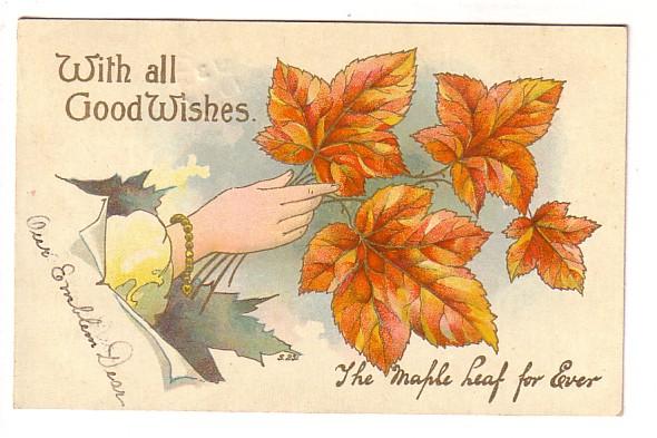 Hand with Leaves, The Maple Leaf Forever, National Series, West Dublin Nova S...