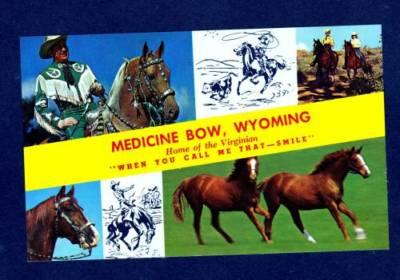 WY Horses Cowboy MEDICINE BOW WYOMING Postcard 1964