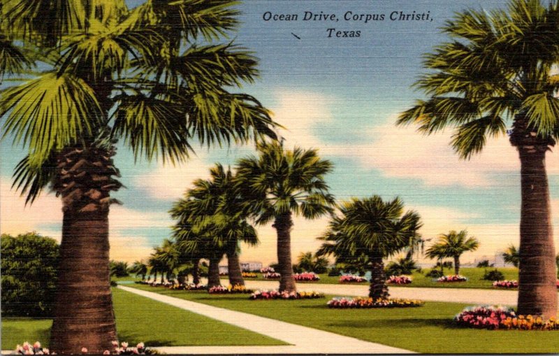 Texas Corpus Christi Ocean Drive 1956