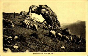 Sheep Flock Grazing Pierre Percee near La Mure Postcard