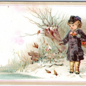 c1880s Adorable Girl Feeds Birds Winter Wemple-Kronheim Trade Card Child Old C35