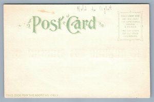 HOLD TO LIGHT 1904 WORLD'S FAIR ST.LOUIS MO ANTIQUE POSTCARD HTL GOV'T BLDG