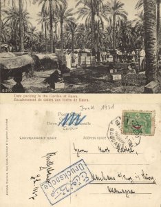 iraq, BASRA BASRAH ‏البصرة‎‎ , Date Packing in the Garden (1930s) Postcard 