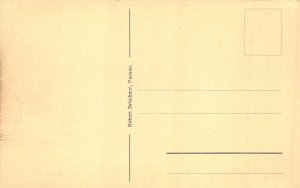 L197 Germany Passau Panoramic View vintage postcard