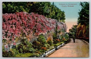 Bermuda Entrance To Government House Postcard B46