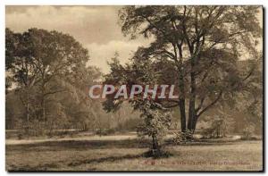 Old Postcard Parc de St Cloud Near Great Gerbe