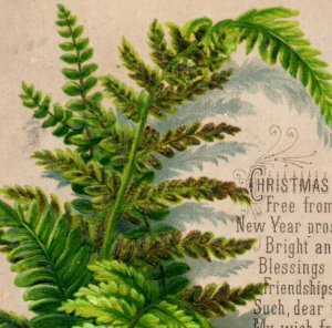 1880s Embossed Victorian Christmas Trade Card Poem Lovely Ferns F109