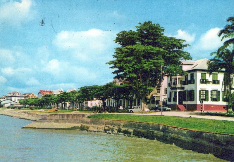 VINTAGE CONTINENTAL SIZE POSTCARD VIEW OF THE WATERFRONT SURINAME