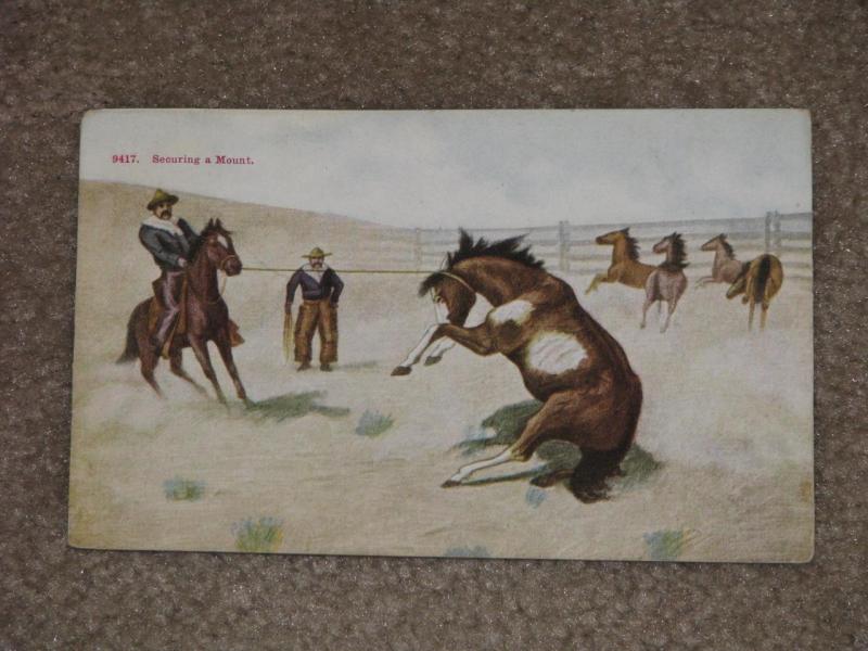 Securing a Mount, Lusk, Montana, 1913, used vintage card