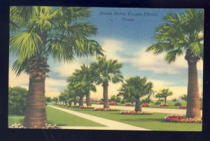 Corpus Christi, Texas/TX  Postcard, View Of Palm Lined Ocean Drive