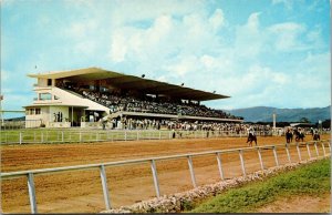 Caymanas Race Track Near Kingston Jamaica Vintage Postcard T69