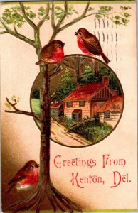 Birds in Tree, Greetings From Kenton DE c1909 Embossed Vintage Postcard N77