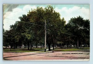 Circa 1900-08 City Park, Fremont, Nebraska Vintage  Postcard P23
