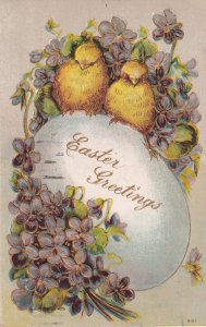 Easter Greetings Chicks Over a Large Egg Violets 1909 Great Bend KS Postcard E13