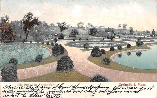 Lilly Pond in Springfield, Massachusetts in Forest Park.