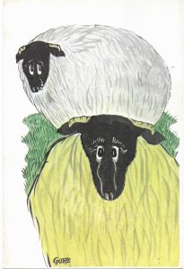 Black Face Sheep They Look Nice Nibbling at Roadside Artist Gore Scottish Humor