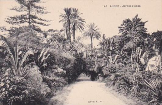 Algeria Alger Jardin d'Essai