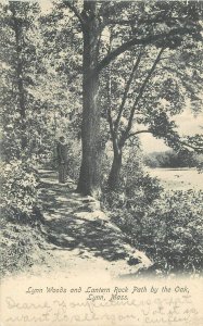 Postcard Massachusetts Lynn woods Lantern Park Path by Oak Metropolitan 23-4799