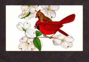 NC Dogwood State Flower Cardinal Bird of North Carolina Postcard