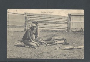 Post Card 1909 Fort Russel WY Shoeing A Bronco