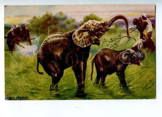 157035 HUNT Hunter ELEPHANT by Ludwig FROMME Vintage PC