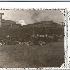 c1910s Rustic Ranch w/ Majestic Red Deer RPPC Farm RLC Border Real Photo PC A143