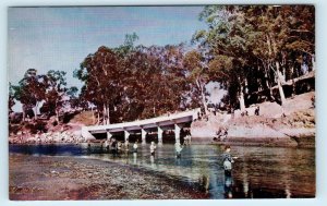 SANTA CRUZ, California CA ~ STEELHEAD FISHING San Lorenzo River c1950s  Postcard