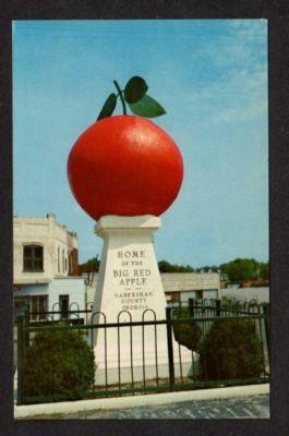 GA Habersham County Apple CORNELIA GEORGIA Postcard PC