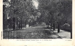 H99/ College Point Long Island New York Postcard c1910 First Avenue Home213