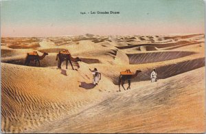 Algeria Les Grandes Dunes Vintage Postcard C182