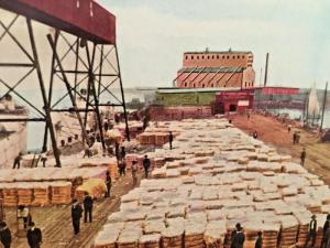 Postcard  Hand Tinted   Loading Cotton, Galveston, TX   Y4