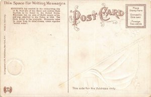 LPS13 Minnesota State Capitol Patriotic Flag Postcard Langsdorf 