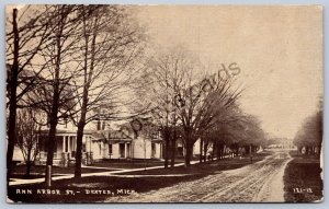 K47/ Dexter Michigan RPPC Postcard c1910 Ann Arbor Street Homes 199