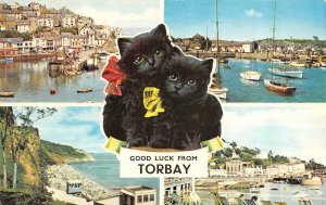 Devon, UK England  GOOD LUCK FROM TORBAY Waterfront~Boats~Black Kittens Postcard