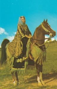 Arabian Horse Postcard *FALEH 1970s Native Costume