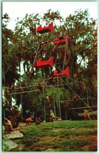 Monkey Exhibit Ferris Wheel Jacksonville Zoo Florida FL UNP Chrome Postcard F10