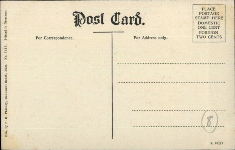 Monument Beach MA Birdseye View Town & Beach Street c1910 Postcard