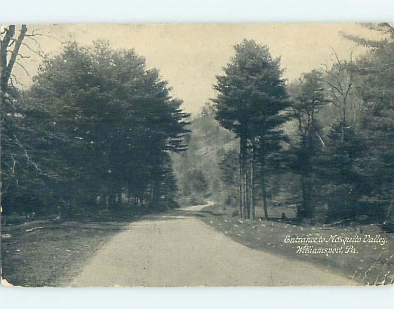 Bent Corner Divided-Back ROAD AT ENTRANCE TO MOSQUITO VALLEY Williamsport p1944